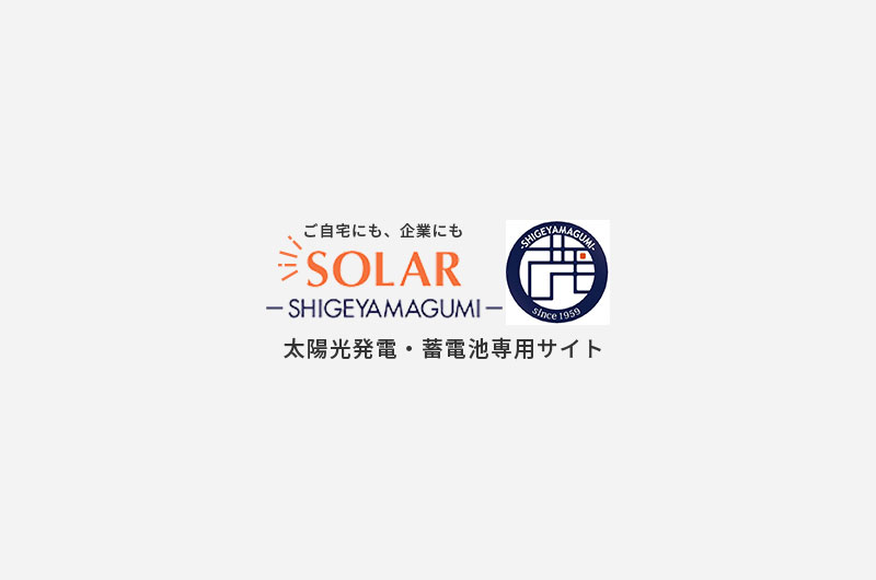 男女雇用機会均等法